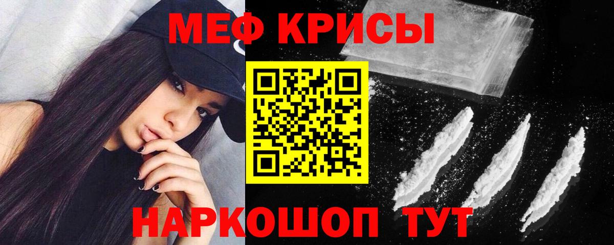 МЕФ  Вход с VPN  Саров  МЯУ-МЯУ мяу мяу 