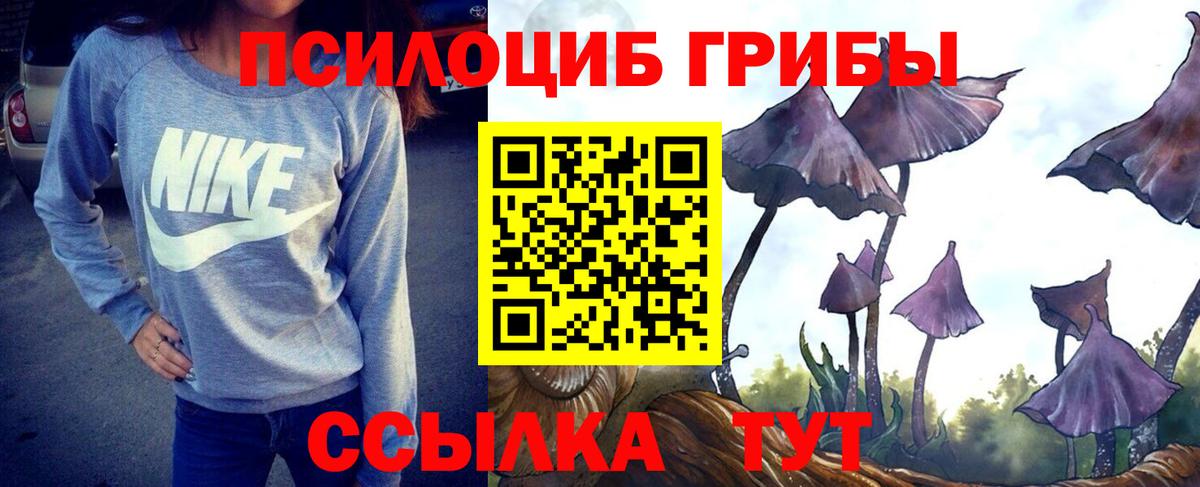 Псилоцибиновые грибы Psilocybine cubensis Саров