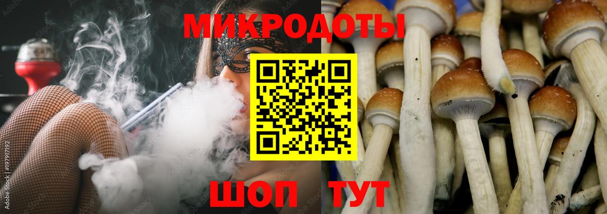 Саров  Псилоцибиновые грибы прущие грибы  Вход с VPN 